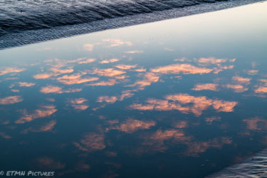 Spiegelungen